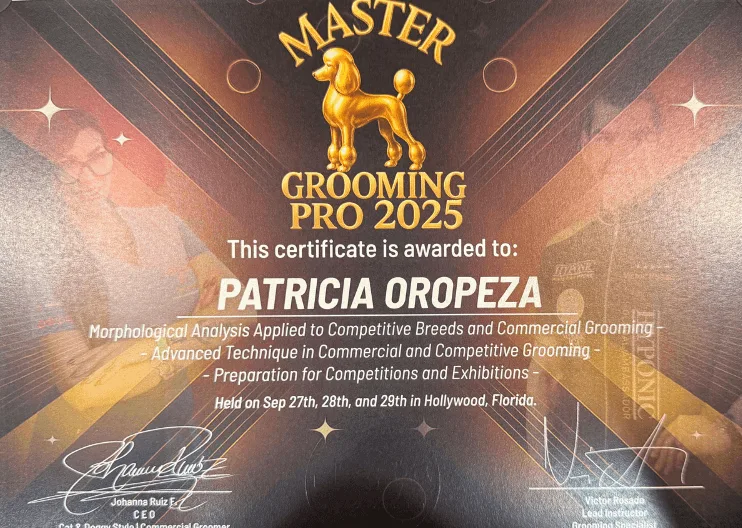 Master Groomer Certification