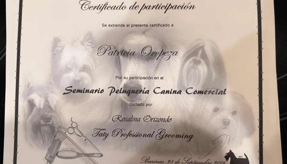 Seminario Peluquería Canina Comercial