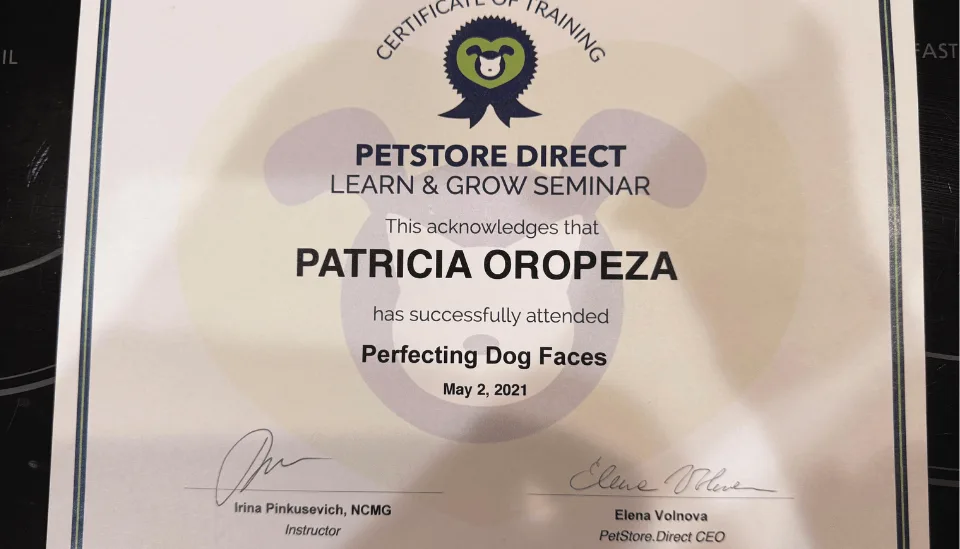 Perfecting Dog Faces - PetStore Direct